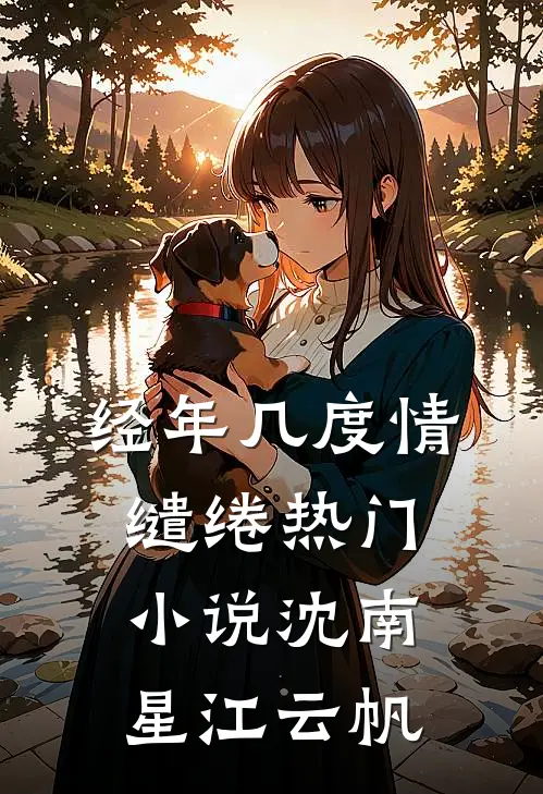 经年几度情缱绻热门小说沈南星江云帆