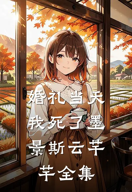 婚礼当天，我死了墨景斯云芊芊全集