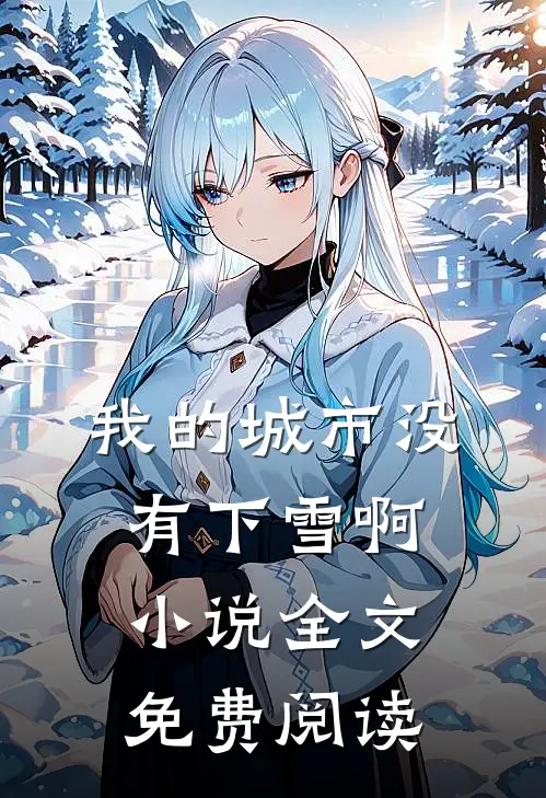 我的城市没有下雪啊小说全文免费阅读