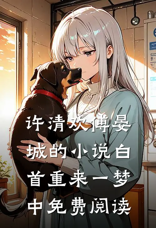 许清欢傅晏城的小说白首重来一梦中免费阅读