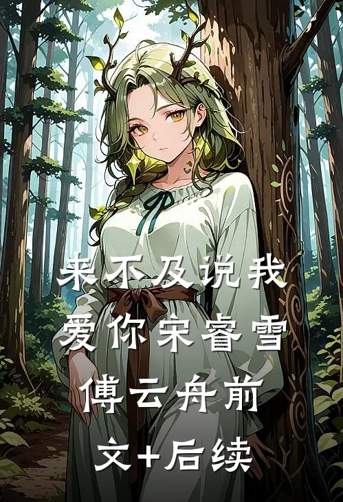 来不及说我爱你宋睿雪傅云舟前文+后续