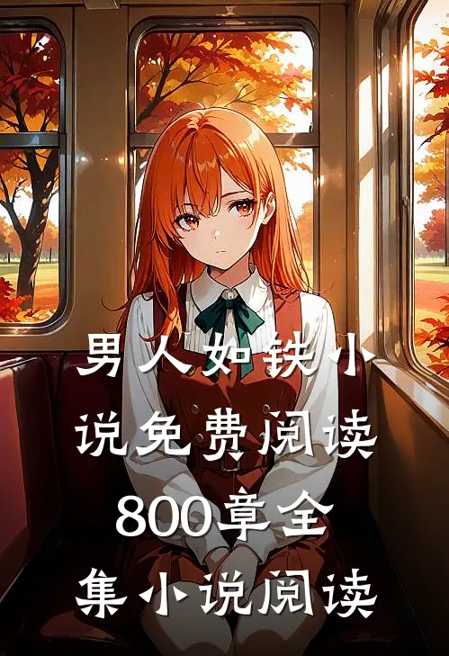男人如铁小说免费阅读800章全集小说阅读