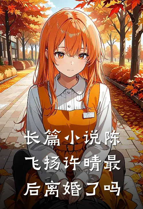 长篇小说陈飞扬许晴最后离婚了吗