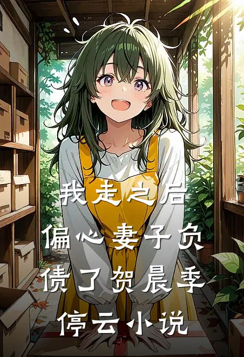 我走之后，偏心妻子负债了贺晨季停云小说