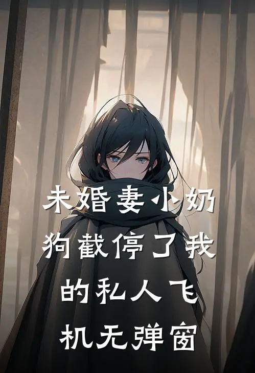 未婚妻小奶狗截停了我的私人飞机无弹窗