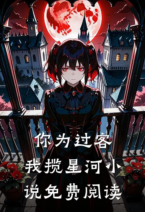你为过客，我揽星河小说免费阅读