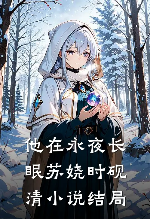 他在永夜长眠苏娆时砚清小说结局