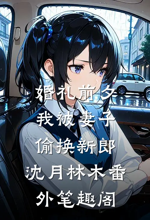 婚礼前夕，我被妻子偷换新郎：沈月林木番外笔趣阁