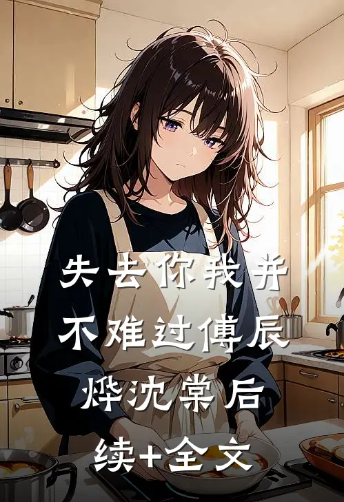 失去你我并不难过傅辰烨沈棠后续+全文