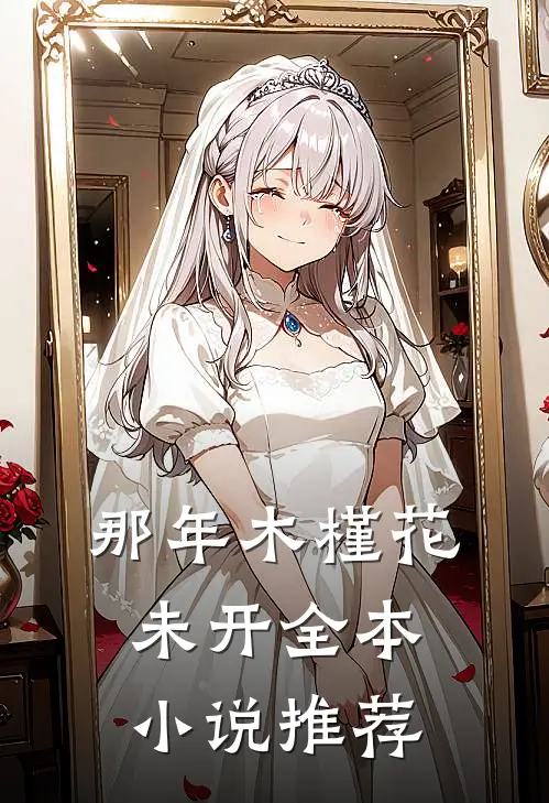 那年木槿花未开全本小说推荐