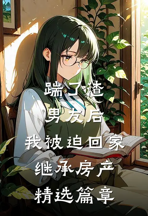 踹了渣男友后，我被迫回家继承房产精选篇章