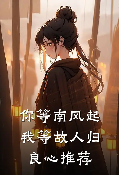 你等南风起，我等故人归良心推荐