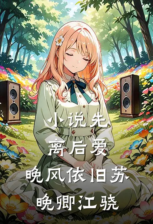 小说先离后爱，晚风依旧(苏晚卿江骁)