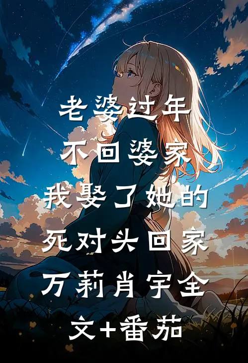 老婆过年不回婆家，我娶了她的死对头回家万莉肖宇全文+番茄