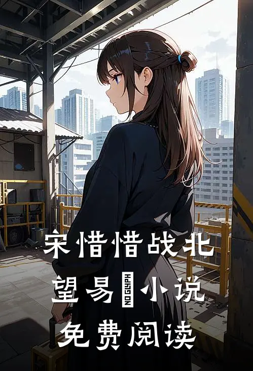 宋惜惜战北望易昉小说免费阅读