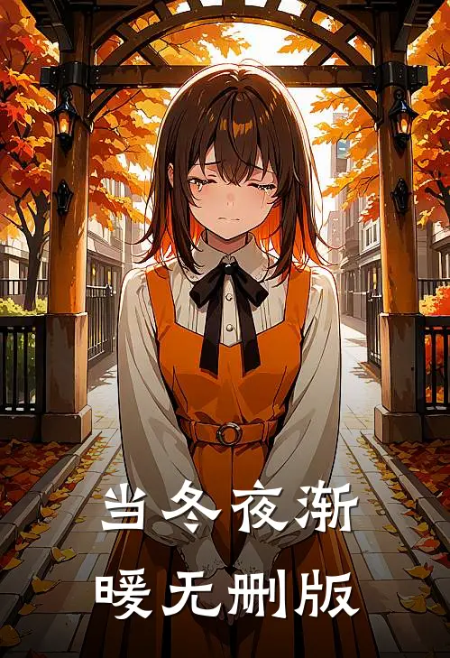 当冬夜渐暖无删版
