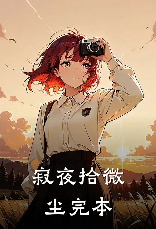 寂夜拾微尘完本