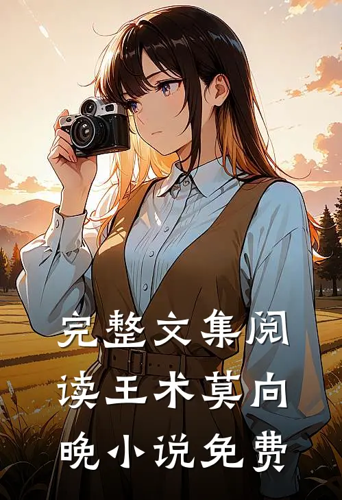 完整文集阅读王术莫向晚小说免费