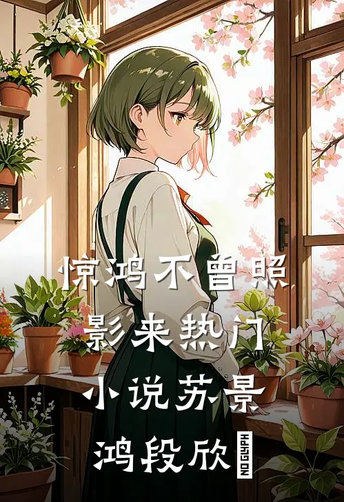 惊鸿不曾照影来热门小说苏景鸿段欣玥