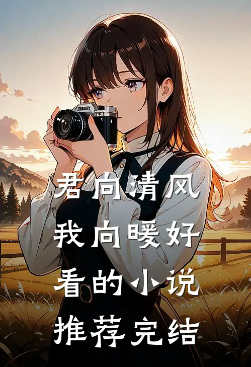 君向清风我向暖好看的小说推荐完结