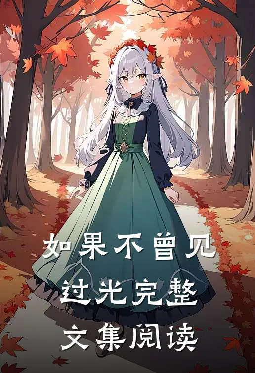 如果不曾见过光完整文集阅读