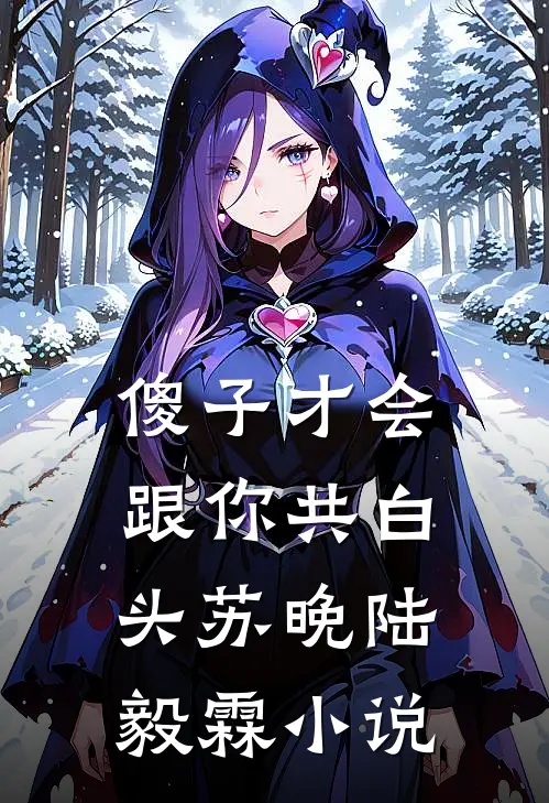 傻子才会跟你共白头苏晚陆毅霖小说