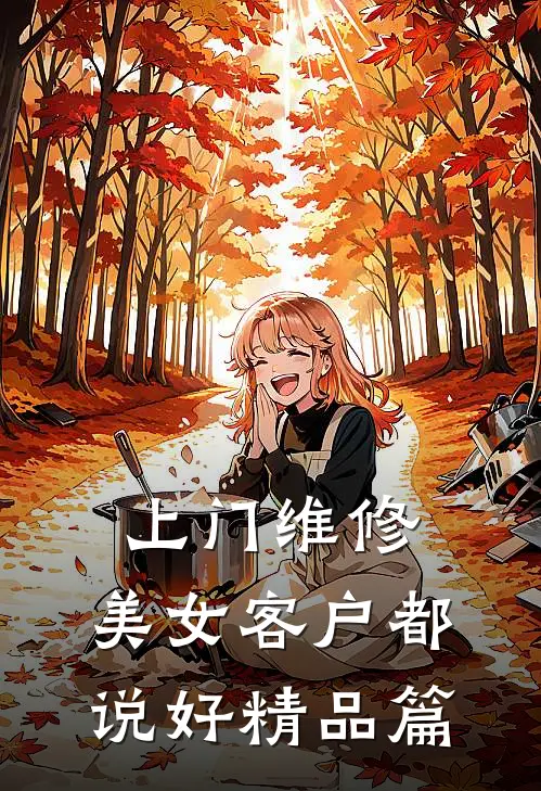 上门维修，美女客户都说好精品篇