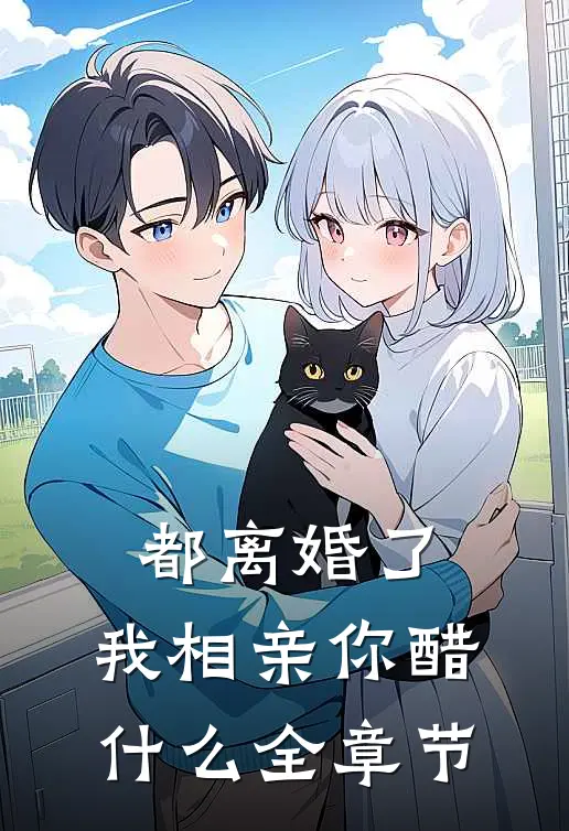 都离婚了，我相亲你醋什么全章节
