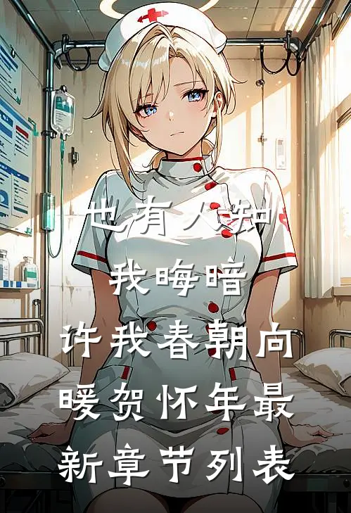 也有人知我晦暗，许我春朝向暖贺怀年最新章节列表