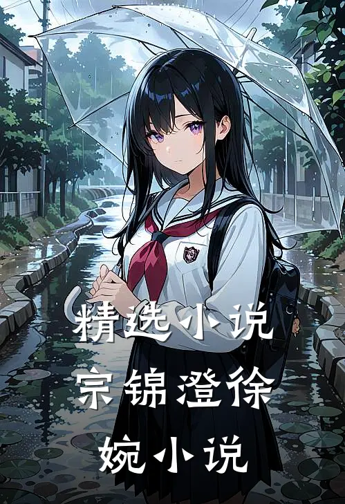 精选小说宗锦澄徐婉小说