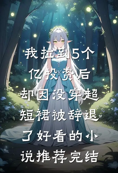 我拉到5个亿投资后，却因没穿超短裙被辞退了好看的小说推荐完结