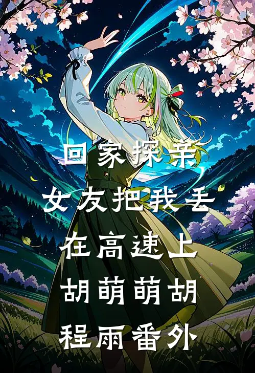 回家探亲，女友把我丢在高速上胡萌萌胡程雨番外