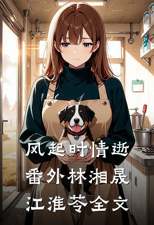 风起时情逝： 番外林湘晟江淮苓全文