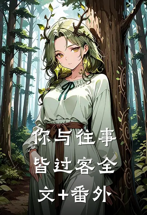 你与往事皆过客全文+番外