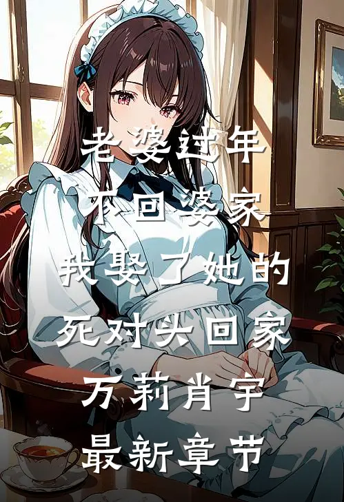 老婆过年不回婆家，我娶了她的死对头回家万莉肖宇最新章节