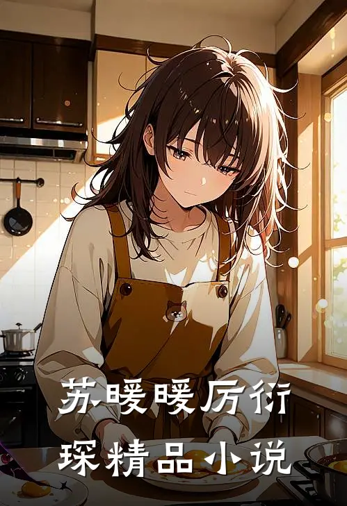 苏暖暖厉衍琛精品小说