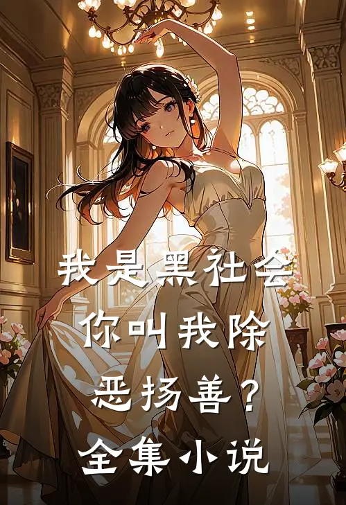 我是黑社会，你叫我除恶扬善？全集小说
