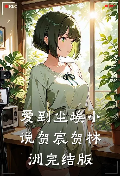 爱到尘埃小说贺宸贺林洲完结版