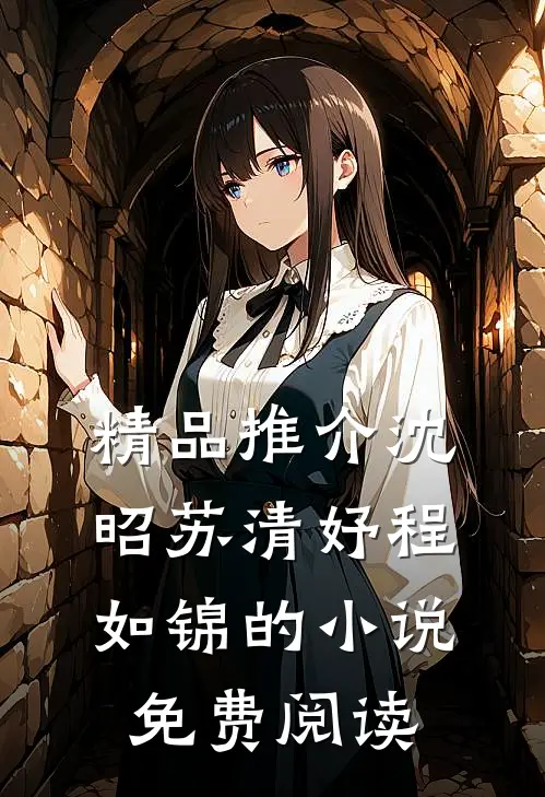 精品推介沈昭苏清妤程如锦的小说免费阅读