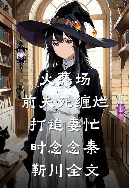 火葬场：前夫死缠烂打追妻忙时念念秦靳川全文