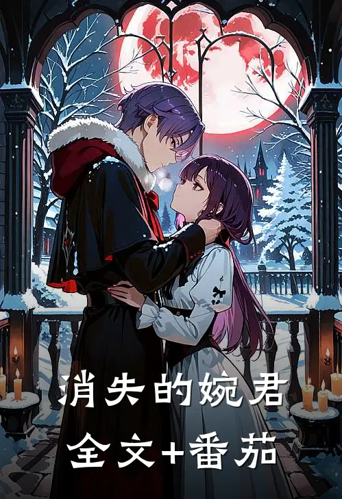 消失的婉君全文+番茄