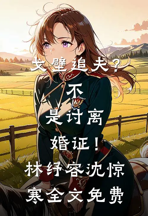 戈壁追夫？不，是讨离婚证！林纾容沈惊寒全文免费