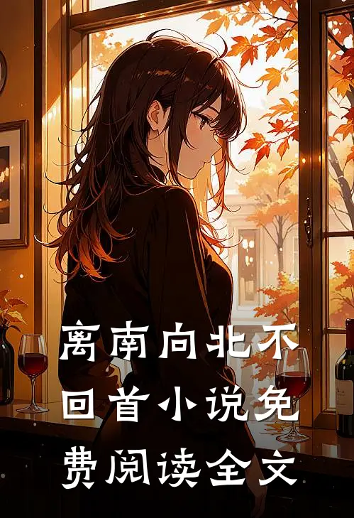 离南向北不回首小说免费阅读全文