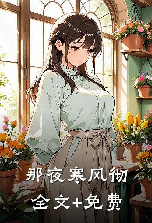 那夜寒风彻全文+免费