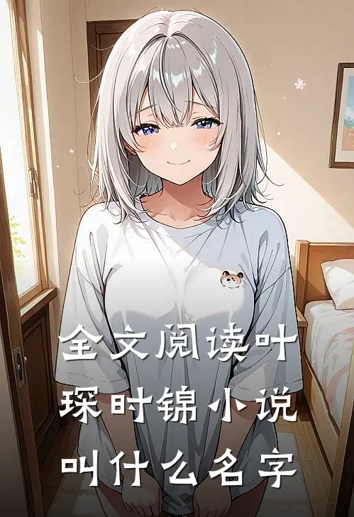 全文阅读叶琛时锦小说叫什么名字