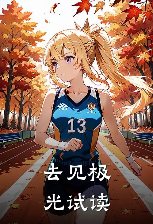 去见极光试读