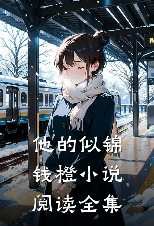 他的似锦钱橙小说阅读全集