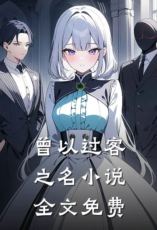 曾以过客之名小说全文免费