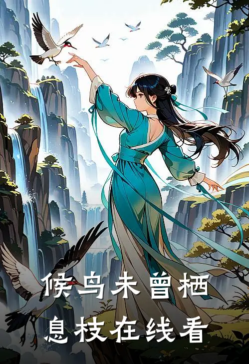 候鸟未曾栖息枝在线看