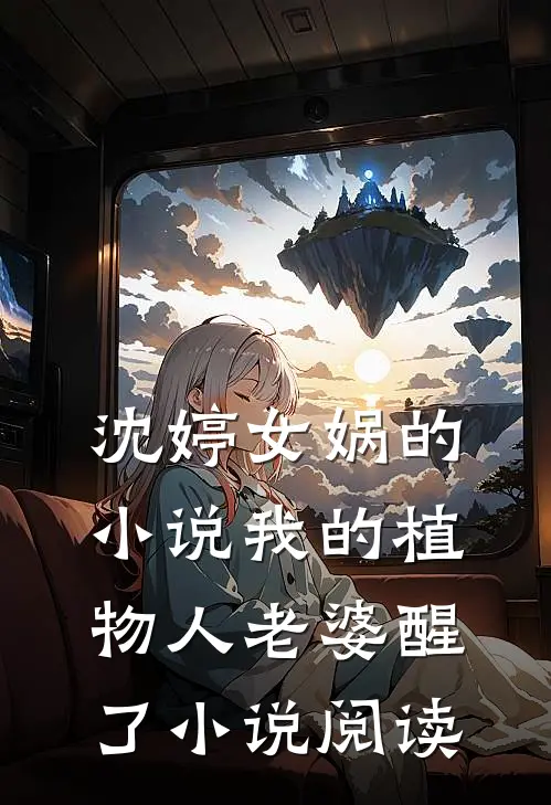 沈婷女娲的小说我的植物人老婆醒了小说阅读
